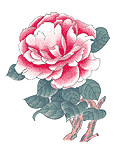 �d��